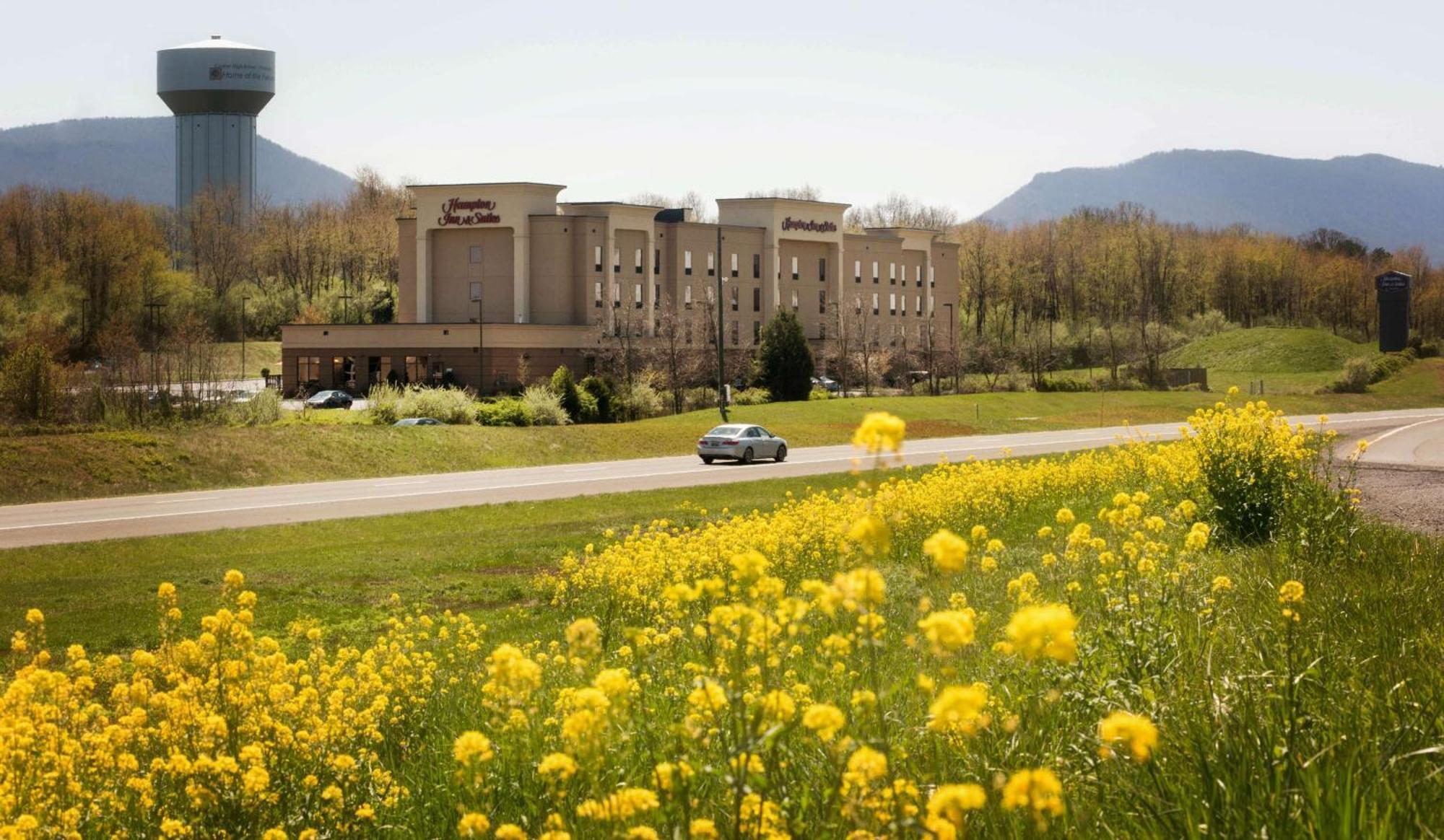 Hampton Inn And Suites Woodstock, Virginia Buitenkant foto